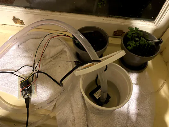 Automatic Watering System